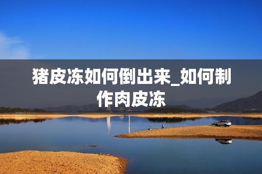 猪皮冻如何倒出来_如何制作肉皮冻