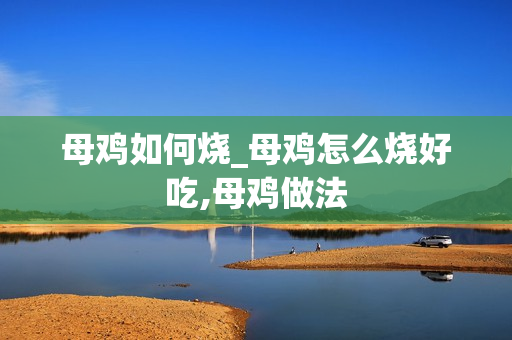 母鸡如何烧_母鸡怎么烧好吃,母鸡做法
