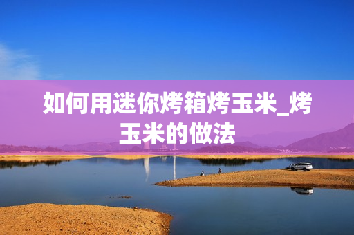 如何用迷你烤箱烤玉米_烤玉米的做法