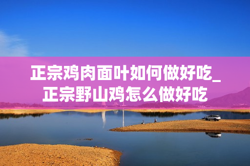 正宗鸡肉面叶如何做好吃_正宗野山鸡怎么做好吃