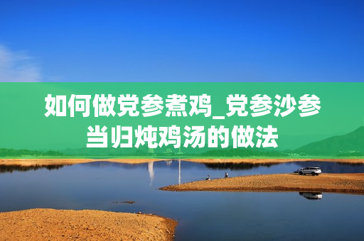 如何做党参煮鸡_党参沙参当归炖鸡汤的做法