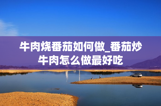 牛肉烧番茄如何做_番茄炒牛肉怎么做最好吃