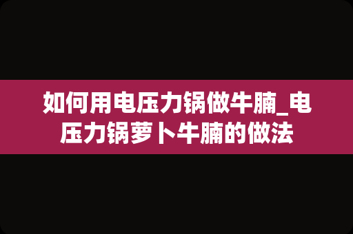 如何用电压力锅做牛腩_电压力锅萝卜牛腩的做法