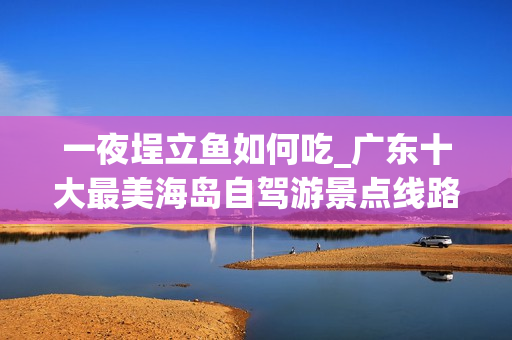 一夜埕立鱼如何吃_广东十大最美海岛自驾游景点线路美食详细攻略，广东周边自驾游去哪好玩