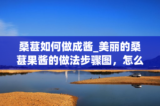 桑葚如何做成酱_美丽的桑葚果酱的做法步骤图，怎么做好吃_1