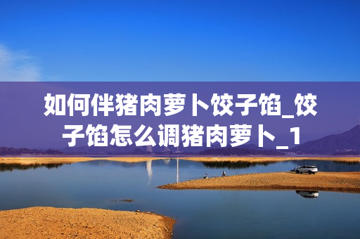 如何伴猪肉萝卜饺子馅_饺子馅怎么调猪肉萝卜_1