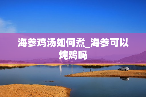 海参鸡汤如何煮_海参可以炖鸡吗
