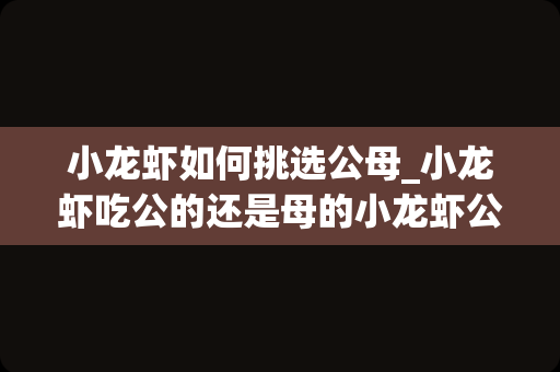 小龙虾如何挑选公母_小龙虾吃公的还是母的小龙虾公母怎么分辨