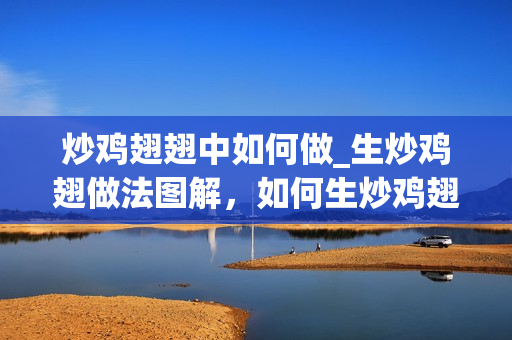 炒鸡翅翅中如何做_生炒鸡翅做法图解，如何生炒鸡翅，怎么做，如何做