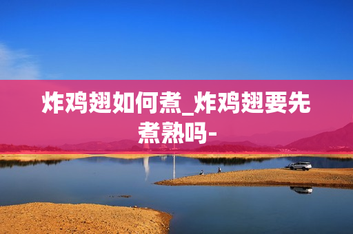 炸鸡翅如何煮_炸鸡翅要先煮熟吗-
