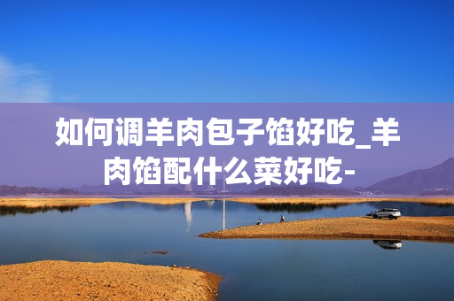 如何调羊肉包子馅好吃_羊肉馅配什么菜好吃-